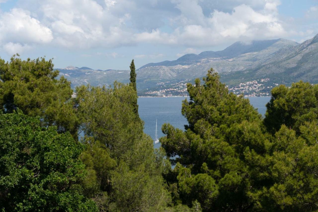 Mary Ann Apartment 2 Cavtat Eksteriør billede